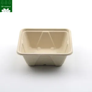 Service personnalisé biodégradable écologique canne à sucre Bagasse pâte champignon plateau conteneur pour supermarché