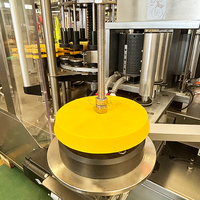 Machine à étiqueter automatique rotative d'applicateur thermofusible d'OPP pour la machine à emballer de pot de canettes de bouteille en verre