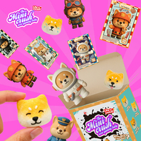 Boîte Mystère de Bonbons Guimauves Shiba Inu – Fabrication OEM/ODM Personnalisée – Jouet Surprise – Bonbons aux Saveurs Personnalisables