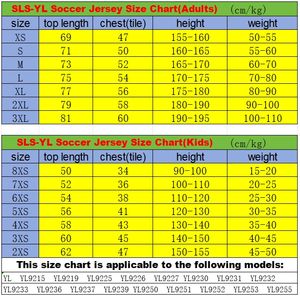 %100 Polyester Dijital Baskılı Nefes Alabilen File Kısa Kollu Futbol Formaları 2025 Özel Tasarım Erkek Retro Futbol Forması Seti Unisex - Product Image 4