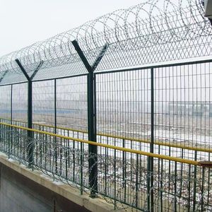 PVC bọc dây thép dây thép gai xây dựng lưới bảo vệ với vật liệu sắt không gỉ Loại sản phẩm dây thép gai - Product Image 4