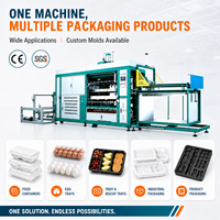 Machine de thermoformage sous vide automatique à moteur, certifiée CE, pour PP, PET, PS, PVC, haute productivité, pour assiettes, gobelets et couvercles alimentaires jetables