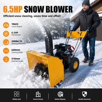 Souffleuse à neige électrique à démarrage automatique, autopropulsée, pour une élimination rapide de la neige en hiver