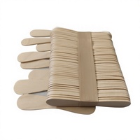 Cuillères à glace écologiques en bois biodégradables, design plat, pour dégustation, emballage en vrac, portables, pour glaces maison et produits congelés