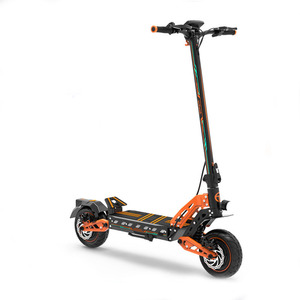 Trottinette électrique DRIVE DT10 300W à double motorisation, vitesse 70 km/h, longue autonomie, bras oscillant, pliable, 1800-2880Wh - Product Image 4