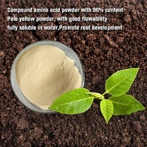 80% di aminoacidi in polvere superiore: 18 aminoacidi, resilienza-costruzione in agricoltura e concimi di acquacoltura - Product Image 3