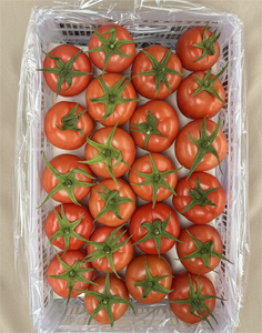 <span class=keywords><strong>Tomate</strong></span> Chino Fresco de Nueva Cosecha, <span class=keywords><strong>Tomate</strong></span> Dulce y Fresco - Product Image 4