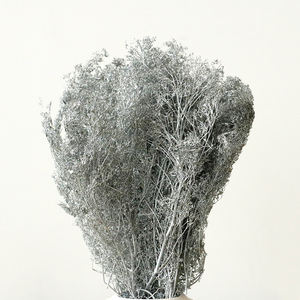 Micro Paysage Arbres Arbustes DIY Cadre Photo Peinture Décoration Modèle Architectural Vie Éternelle Fleur Saint Valentin - Product Image 6