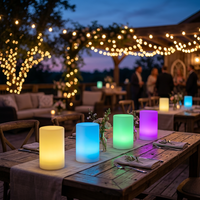 Großhandel OEM Kabellose LED Dekorative Tischlampe Wiederaufladbare Nachttischlampe Heimdekoration Bar Restaurant LED Nachtlicht