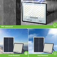 Projecteur solaire LED étanche IP67 500-2000 Lumens Température de couleur 6500K Certifié CE pour extérieur Jardin Cour Route