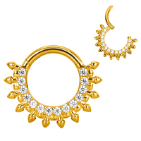 GZN Segment Anneaux à charnière ASTM F136 Titanium CZ Hoop Nose Ring Jewelry Clicker Rings Earring Body Piercing Jewelry