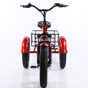 Vélo cargo électrique à assistance à la conduite pour personnes à mobilité réduite, dernier modèle, batterie au lithium amovible, cadre en alliage, frein à disque - Product Image 2