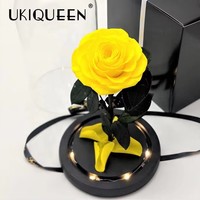 Kotak Bunga Mawar Abadi Asli 12*20cm Gaya Beauty Beast dengan Kubah Kaca, Hadiah Romantis untuk Hari Valentine, Dekorasi Rumah