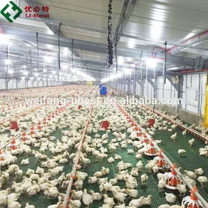 Indonesia Chicken House Poultry Farming Nipple Drinker Line System Pan Feeder Equipment