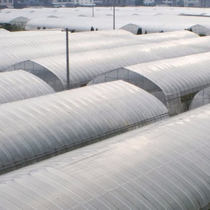 Invernadero ecológico de un solo tramo con cubierta de plástico PE de 200 micras, material agrícola utilizado para cubrir. - Product Image 3