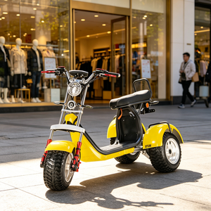 Monopattino Elettrico ad Alta Velocità da 1000 Watt per Adulti, Prezzo Basso, Moto da Turismo a Due Ruote 48V-72V con Batteria da 20Ah - Product Image 6