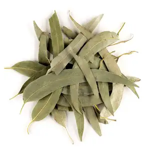 Dried Whole Eucalyptus Herb Leaves Natural Cut and Sifted Eucalyptus Leaves Loose Tea Eucalipto Herbal Eucalyptus Leaf Tea