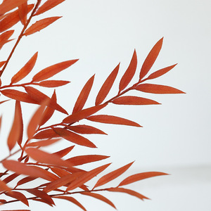 Planta Artificial de Hojas de Sauce de 30cm-100cm de Altura, Simulación Realista, Decoración para Jardín y Hogar, Flor Decorativa de Otoño, Naranja, PVC, Plástico - Product Image 4
