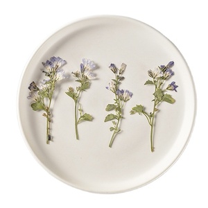 Clochette canterrie naturelle avec Branches, artisanat à faire soi-même, plante naturelle, <span class=keywords><strong>fleur</strong></span> pressé, écologique - Product Image 1