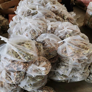 Gancho de agarre de horquilla de grado 80 Gancho de agarre de cadena <span class=keywords><strong>Likn</strong></span>/Encuadernación industrial Levantamiento galvanizado/Heavy Duty 5/16 ''X 20 Foot Binder Chain - Product Image 4