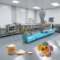 Chaîne de production de riz instantané artificiel nutritif enrichi, machine d'extrusion pour la fabrication de grains de riz fortifiés