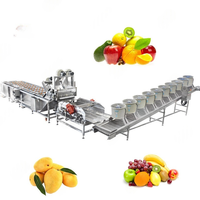 Commercial 500 Kg/H Poire Avocat Nettoyage Épilation Et Classement Abricot Pêche Lavage Ligne De Production De Lavage De Banane