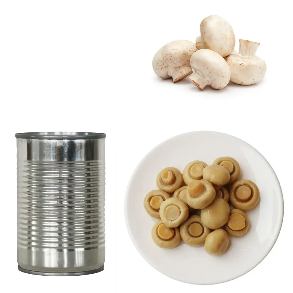 canned food whole champignon mushroom in water