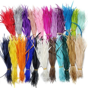 Plumes de <span class=keywords><strong>Biot</strong></span> d'Oie Sélectionnées de 6 à 9 pouces, Plusieurs Couleurs, pour la Confection de Mouches, la Fabrication de Chapeaux et la Décoration de Mode (Vente en Gros) - Product Image 1