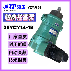 Pompe à pistons axiaux série Ycy14 1b, pompe hydraulique 25Ycy14 1b pour application de surpression, installation horizontale - Product Image 4