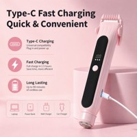 Tondeuse rechargeable pour zones intimes féminines, format voyage compact, pour des soins de qualité salon à domicile, gadget de soins personnels