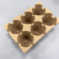 Plateau intérieur d'emballage de pulpe moulé par plateau d'insertion de papier de presse sèche biodégradable pour des Solutions d'emballage durables d'insertion de pulpe de fer