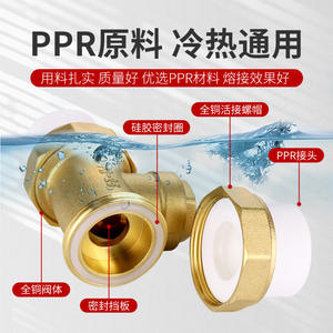 Huihong Vanne de retenue PPR tout cuivre 4 6 8 1 pouce, raccord de tuyau d'eau à passage direct unidirectionnel, pour usage domestique - Product Image 2