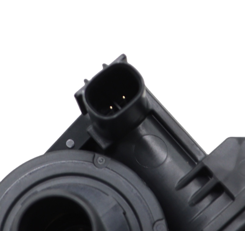 向井康二 Man 写真 まとめ売り 273枚 Amazon.co.jp: Snow Man