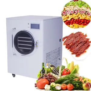 Small Food-freeze-dryer Vacuum-freeze-dryer Vacuum Freeze Drying Machine Dryer For