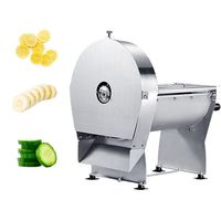 Professionele elektrische groentesnijder & industriële fruitsnijmachine 220V motor groentesnijder