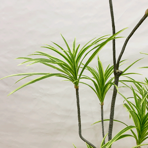 Árbol decorativo Artificial de plástico de madera milenaria de estilo nórdico de alta calidad, planta verde para sala de estar interior - Product Image 4