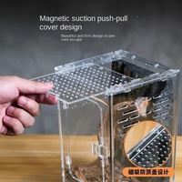 Terrarium pour reptiles transparent de qualité supérieure, habitat en acrylique spacieux avec couvercle ventilé, écologique et durable pour les reptiles