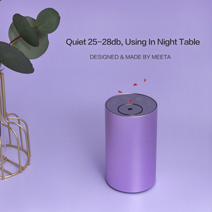 Máy Khuếch Tán Lintro NC09 Phổ Biến Ở Anh Nhà Sản Xuất Trung Quốc Máy Khuếch Tán Máy Phun Sương Không Thấm Nước Không Dây Màu Trắng Cho Xe Hơi/Du Lịch/Nhà Ở/Văn Phòng - Product Image 4