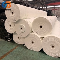 Fournisseurs de tissus géotextiles non tissés 100-800 g/m² en polyester PP pour la construction routière et le drainage