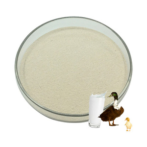 ผง<span class=keywords><strong>นม</strong></span>ข้นหวานผลไม้รสอาหารสัตว์ - Product Image 3