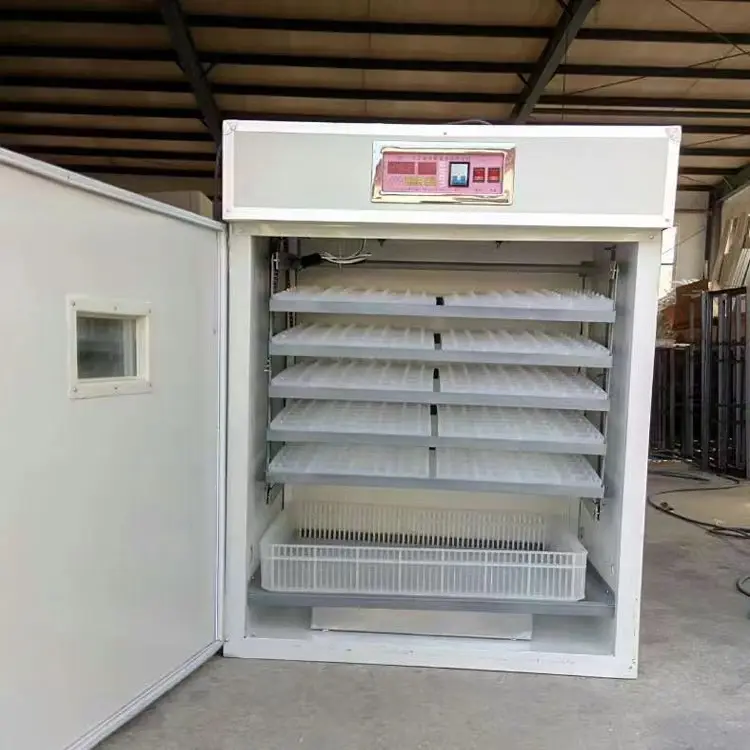 Incubateurs solaires agricoles Machine de tournage automatique d'oeufs Incubateur d'oeufs de caille à usage familial Capacité de 264 oeufs