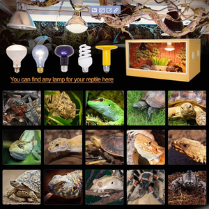 Große 80*40*120cm Snake Terrarium Neuankömmling Haustier bett Terrarien für Reptilien zum Verkauf - Product Image 5