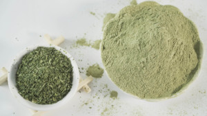 Extracto de <span class=keywords><strong>perejil</strong></span> en polvo, suministro de fábrica - Product Image 2