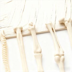 Hot-selling Bone-shaped Kawaii Plastic Gel <b>Pen</b> with logo Promotional Ballpoint <b>Pen</b> Gift Item Creative and Novel Advertising <b>Pens</b> - Product Image 2
