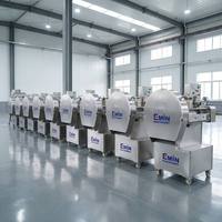Elektrische industriële groente- en fruitsnijmachine met motor 220V/110V 0.75KW voor restaurantgebruik