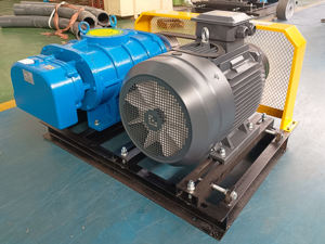 소형 공압 컨베이어 트윈 로브 뿌리 송풍기 직접 커플 링 좋은 판매 고풍력 발전소 공장 가격 에어 로터리 송풍기 - Product Image 2