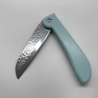 Couteau à éplucher en acier inoxydable en gros, couteau à fruits avec manche en plastique