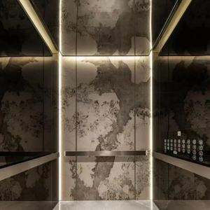 Kit de modernización de elevadores de pasajeros para la construcción de edificios altos, elevador de vidrio. - Product Image 2