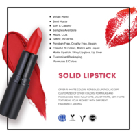 Usine de Maquillage Personnalisé Rouge à Lèvres Longue Tenue Marque Privée Luxe Imperméable Velours Mat Nude
