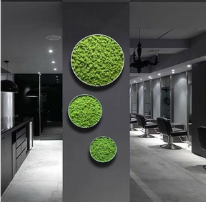 Vente en gros de <span class=keywords><strong>fleurs</strong></span> et de plantes préservées, art mural en <span class=keywords><strong>mousse</strong></span> véritable naturelle, renne stabilisé vert, mur de <span class=keywords><strong>mousse</strong></span> préservé pour la décoration - Product Image 5